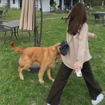 一日一生海报